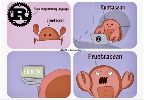 Image result for Average Rust Programmer