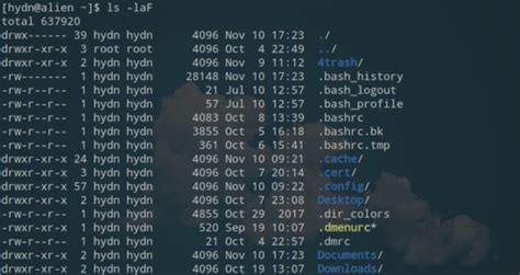 Image result for Kali Linux Ls Command