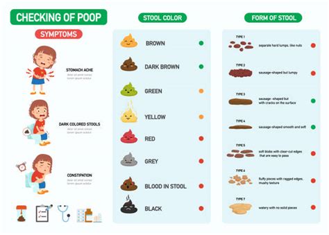 Image result for Colorectal Cancer Stool