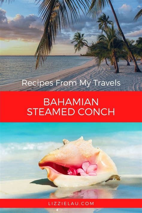 Image result for How to Cook Steamed Conch