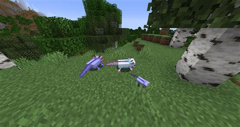 Afbeeldingsresultaten voor Rarest Axolotl Minecraft