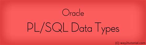 Image result for Data Type in PL/SQL
