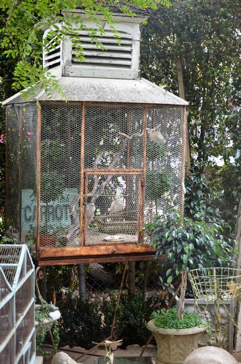 Image result for Dove Aviary