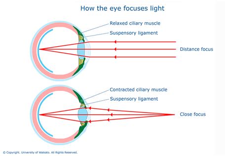 Toradh íomhá ar Eye Diagram That Shos Distant Light Refraction
