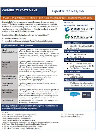 Image result for Capability Statement Template for Painters