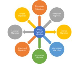 Image result for Types of Migration Patterns