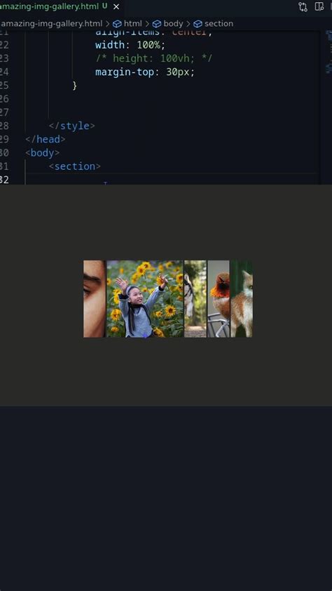 Image result for Create Gallery for HTML Code