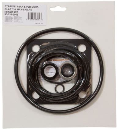 Image result for Sta-Rite Maxi Pro