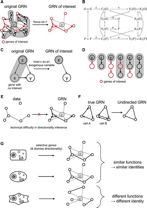 Toradh íomhá ar OpenStreetMap Graph Simplify Directed