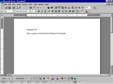 Image result for Windows 95 Word Processor