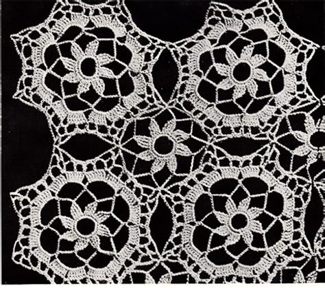 Image result for Queen Ann Shell Pattern