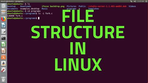 Image result for Linux Operating System File