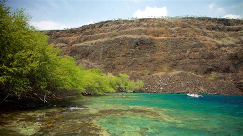 Image result for Captain Cook Hi