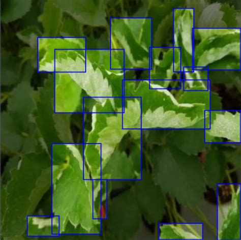 Image result for Computer Vision for Gardens