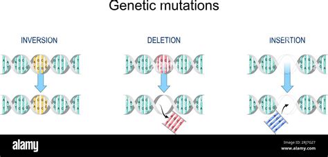 Toradh íomhá ar Mutation in Genetic Algorithm Transparent Pictures