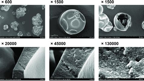 Toradh íomhá ar Particle Size Microscope
