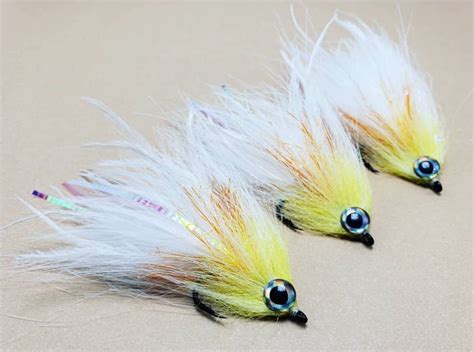 Image result for Micro GameChanger Fly