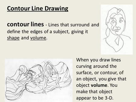 Image result for Contour Line Drawing Figure