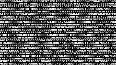 Hexadecimal 1 に対する画像結果