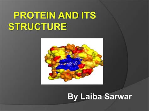Image result for Protein Structure and Function