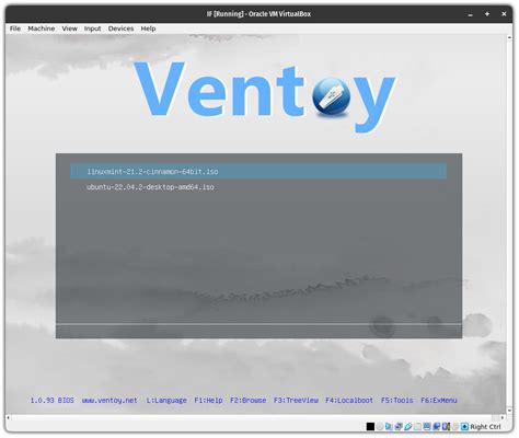 Image result for How to Boot From USB VBox