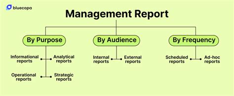 Image result for Management Reporting Framework Functions