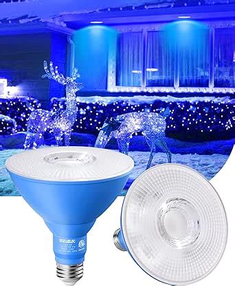 Afbeeldingsresultaten voor LED Blue Flood Light Bulb