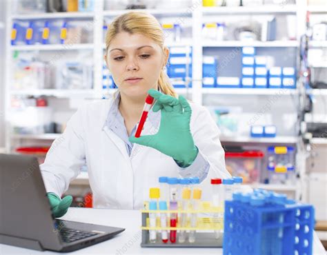 Image result for Different Types of Lab Assistant