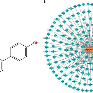 Image result for API Substance