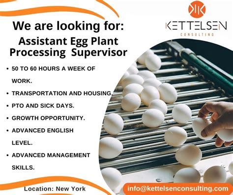 Image result for Assistant Egg Engineer