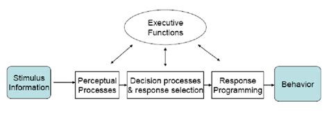 Image result for Components of Information Processing Model
