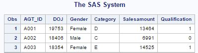 Toradh íomhá ar SAS Format Statement Example