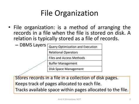 Image result for Database Text File Organization