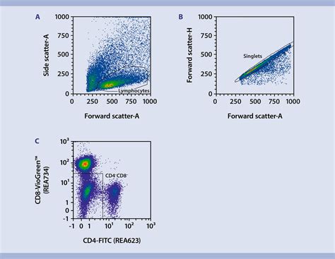 Image result for Flow Cytometry T-cell Staining Protocols