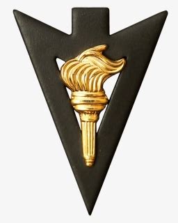 Image result for Transparent Logo HackerRank Python SQL Gold Badges