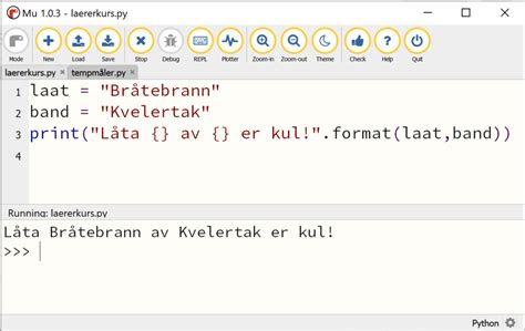 Image result for Variabel Python Dat Leestekens Verwijdert