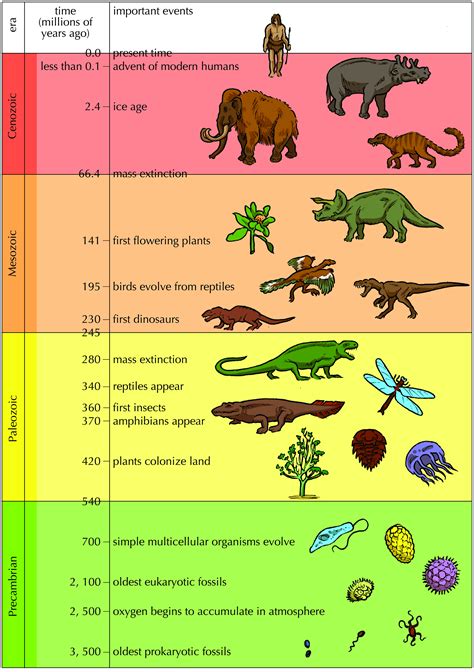 Image result for Geologic Time Scale Humans