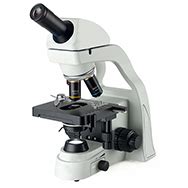 Image result for High Power On Microscope Slide