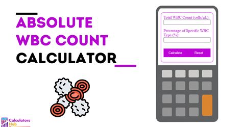 Image result for WBC Count