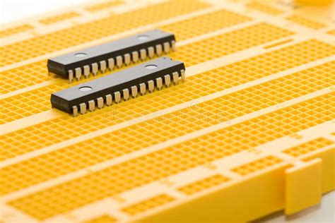 Image result for Microprocessor Protarit