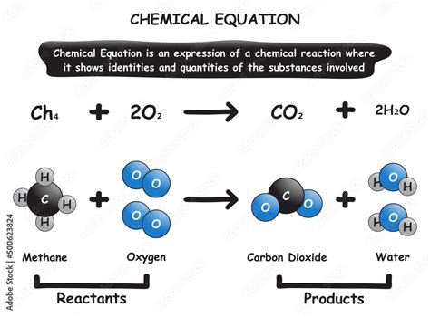 Image result for Reactants of Photosynthesis What Goes In