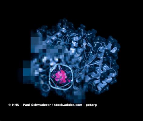 Machine Learning Enzyme Prediction に対する画像結果