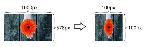 Image result for Clip Chart in CSS