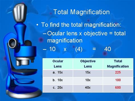Total Magnification of Microscope に対する画像結果