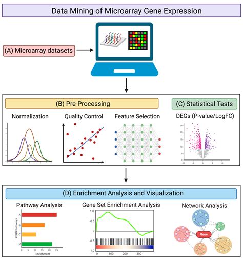 Image result for Microarray Database