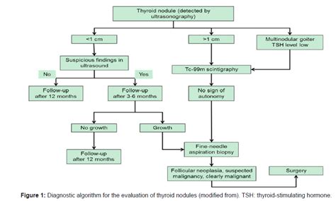 Image result for Algorithm for Thyroid Disorders