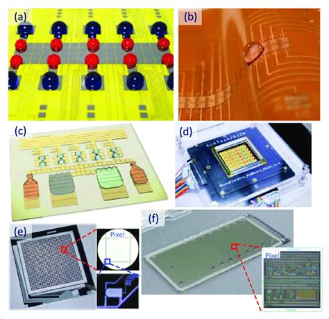 Image result for Electrode Array Chip