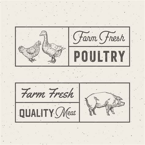 Image result for Poultry Meat Processing Logo