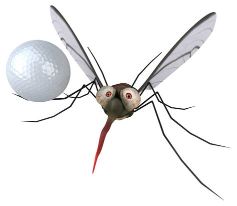 Image result for Mosquito Animation