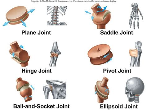 Image result for Scribe Joint